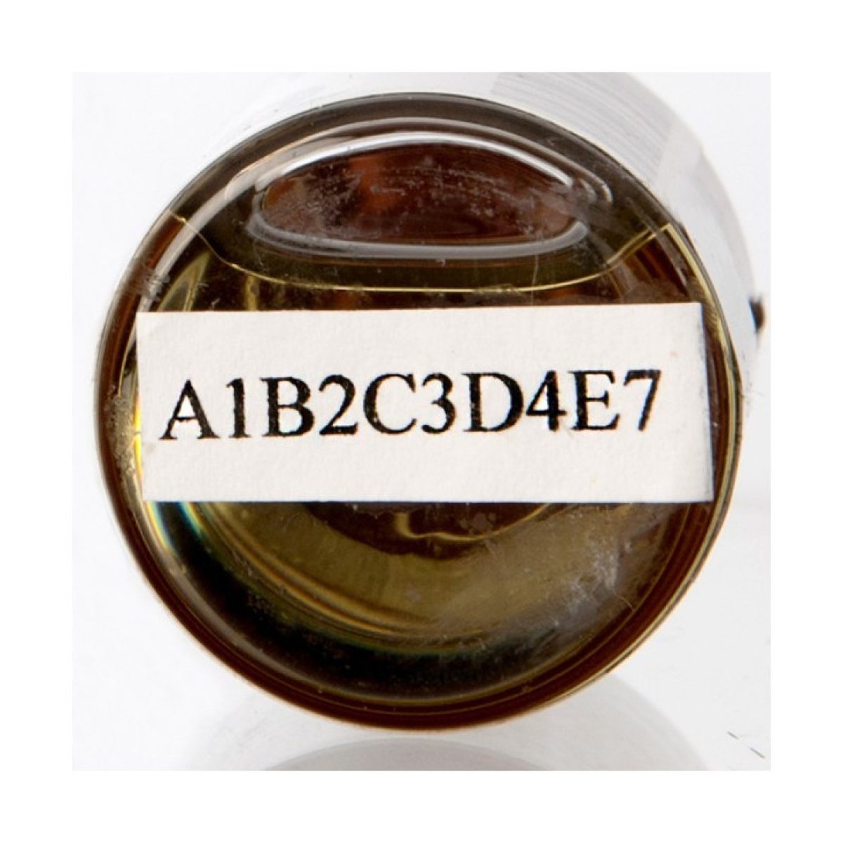 HF3FnJsptWlmkVqjLRXR-1